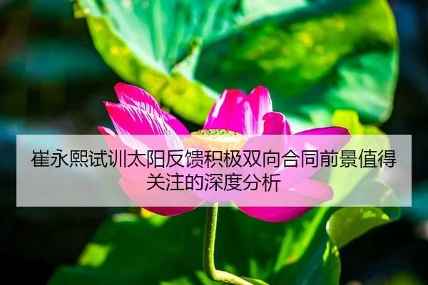 崔永熙试训太阳反馈积极双向合同前景值得关注的深度分析