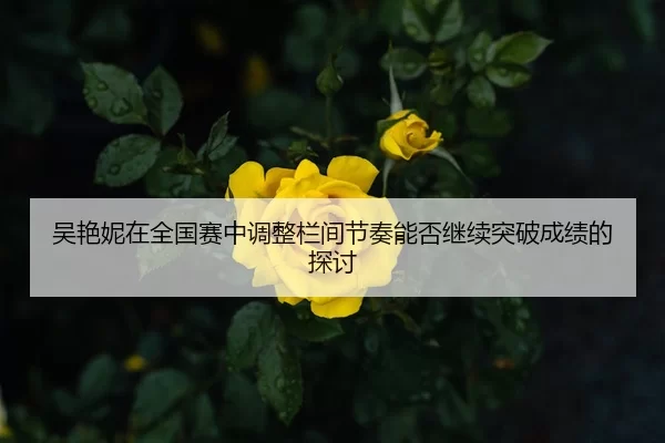 吴艳妮在全国赛中调整栏间节奏能否继续突破成绩的探讨