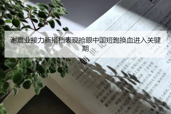 谢震业接力新搭档表现抢眼中国短跑换血进入关键期
