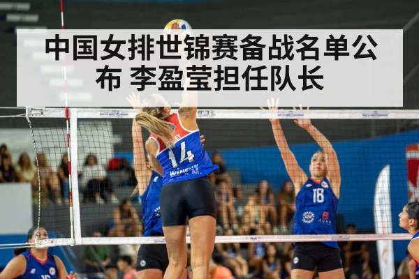 volleyball match
